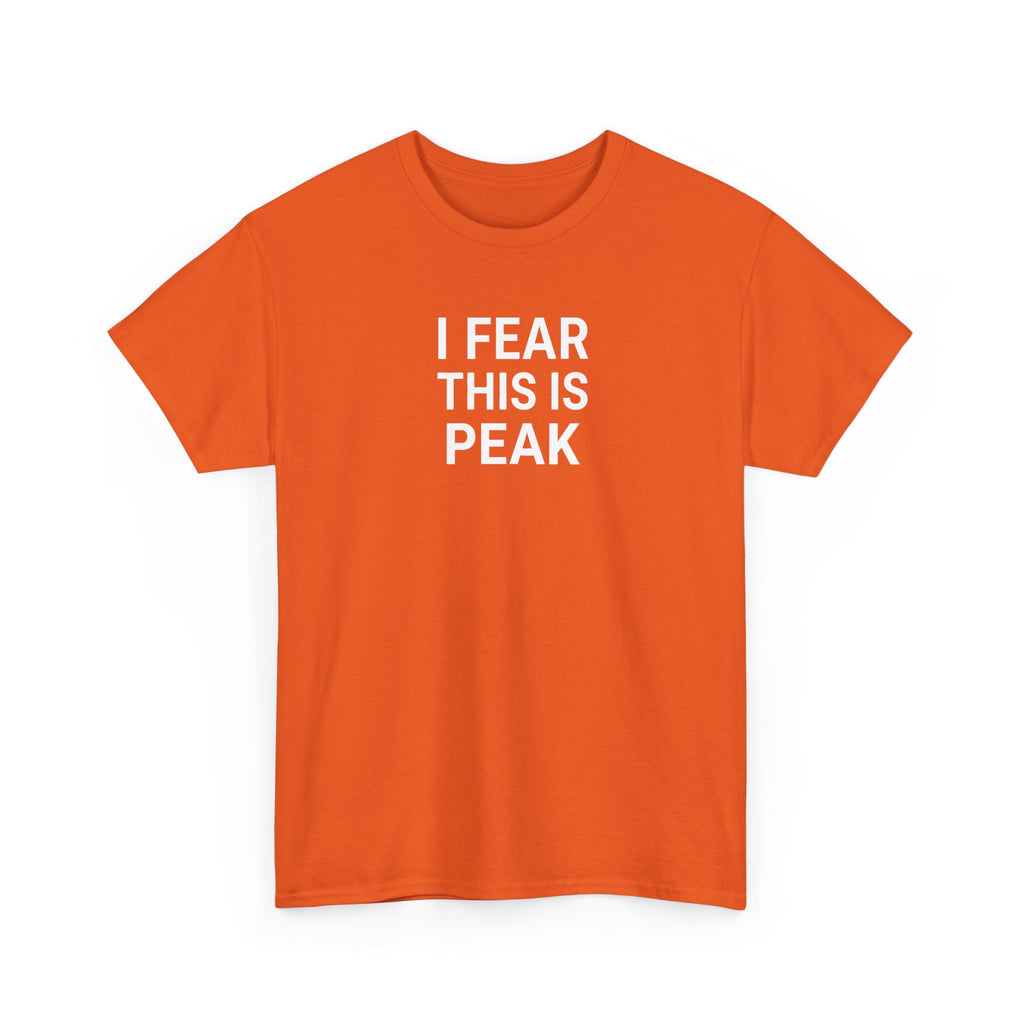 I Fear This Is Peak Tee — Funny Minimalist Graphic T-Shirt