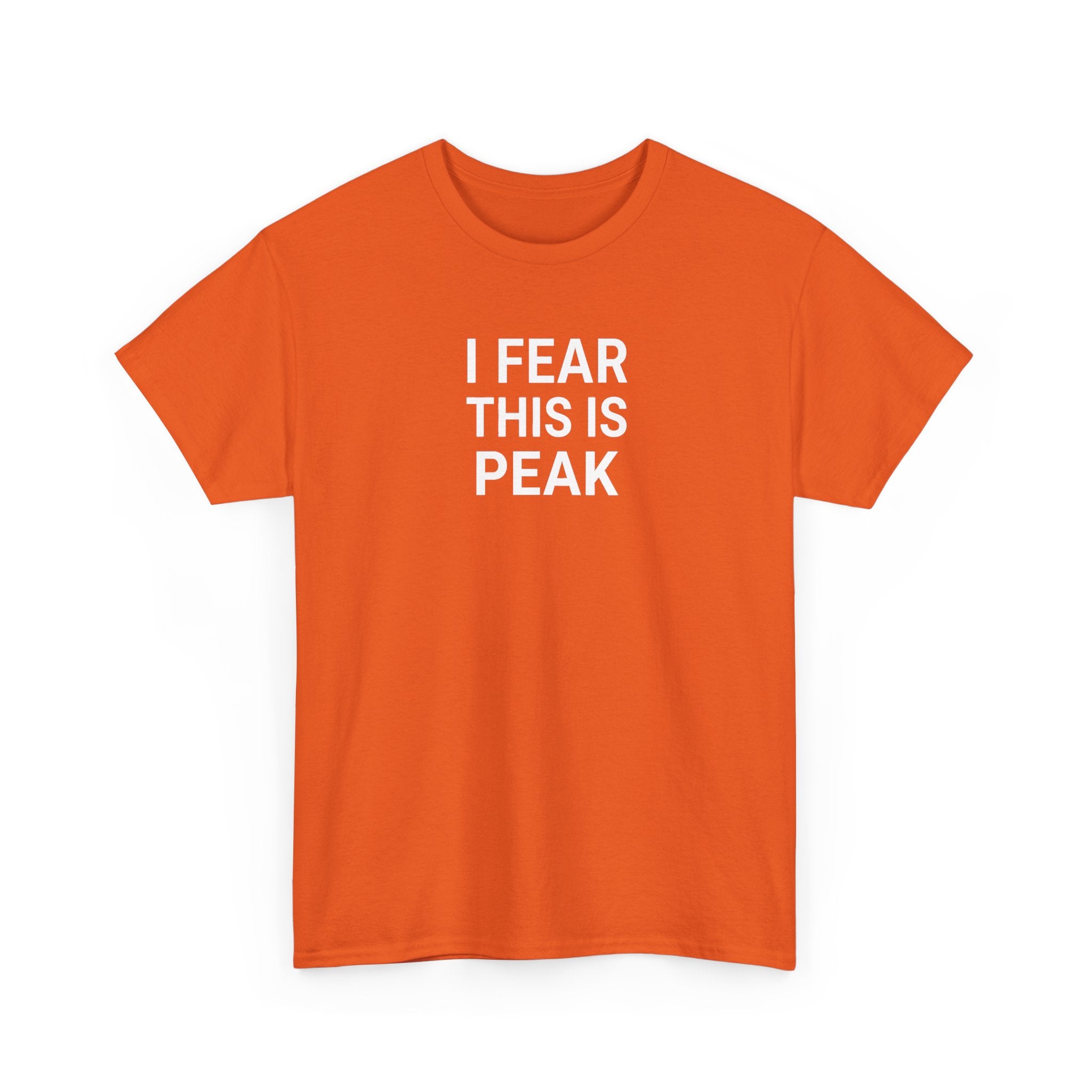 I Fear This Is Peak Tee — Funny Minimalist Graphic T-Shirt