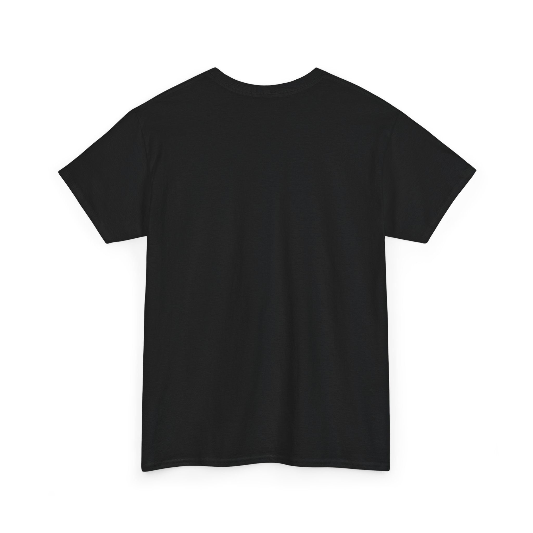 I Fear This Is Peak Tee — Funny Minimalist Graphic T-Shirt
