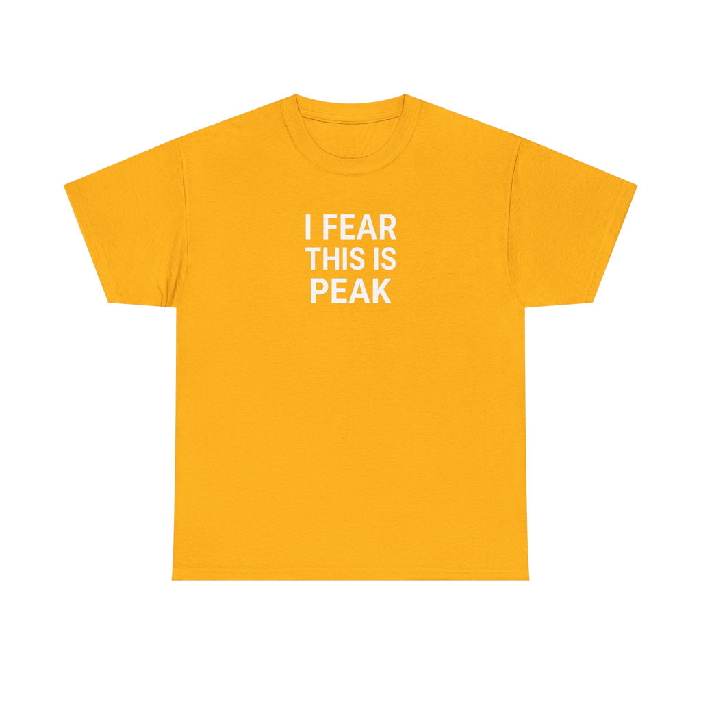 I Fear This Is Peak Tee — Funny Minimalist Graphic T-Shirt