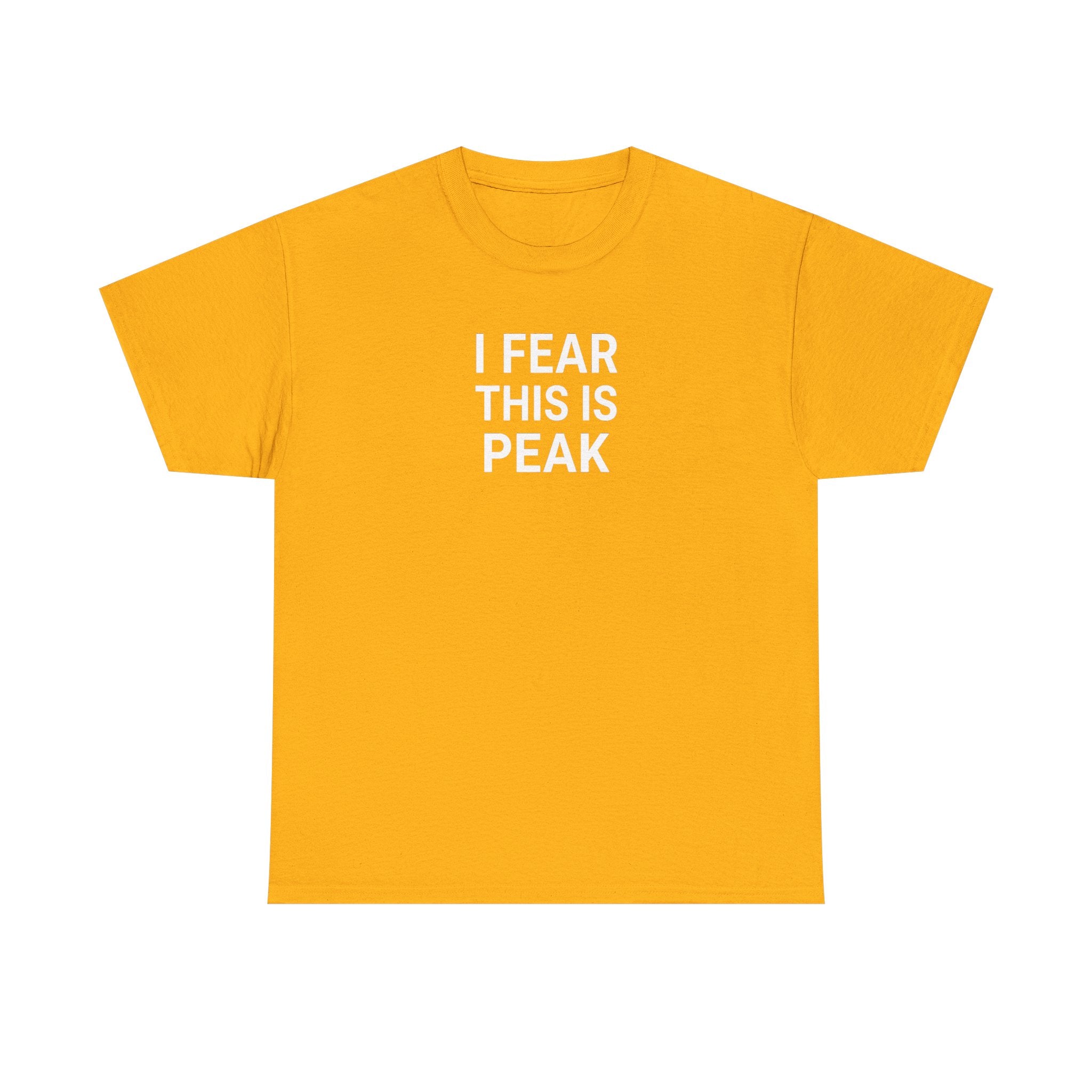 I Fear This Is Peak Tee — Funny Minimalist Graphic T-Shirt