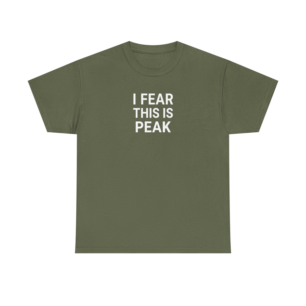 I Fear This Is Peak Tee — Funny Minimalist Graphic T-Shirt