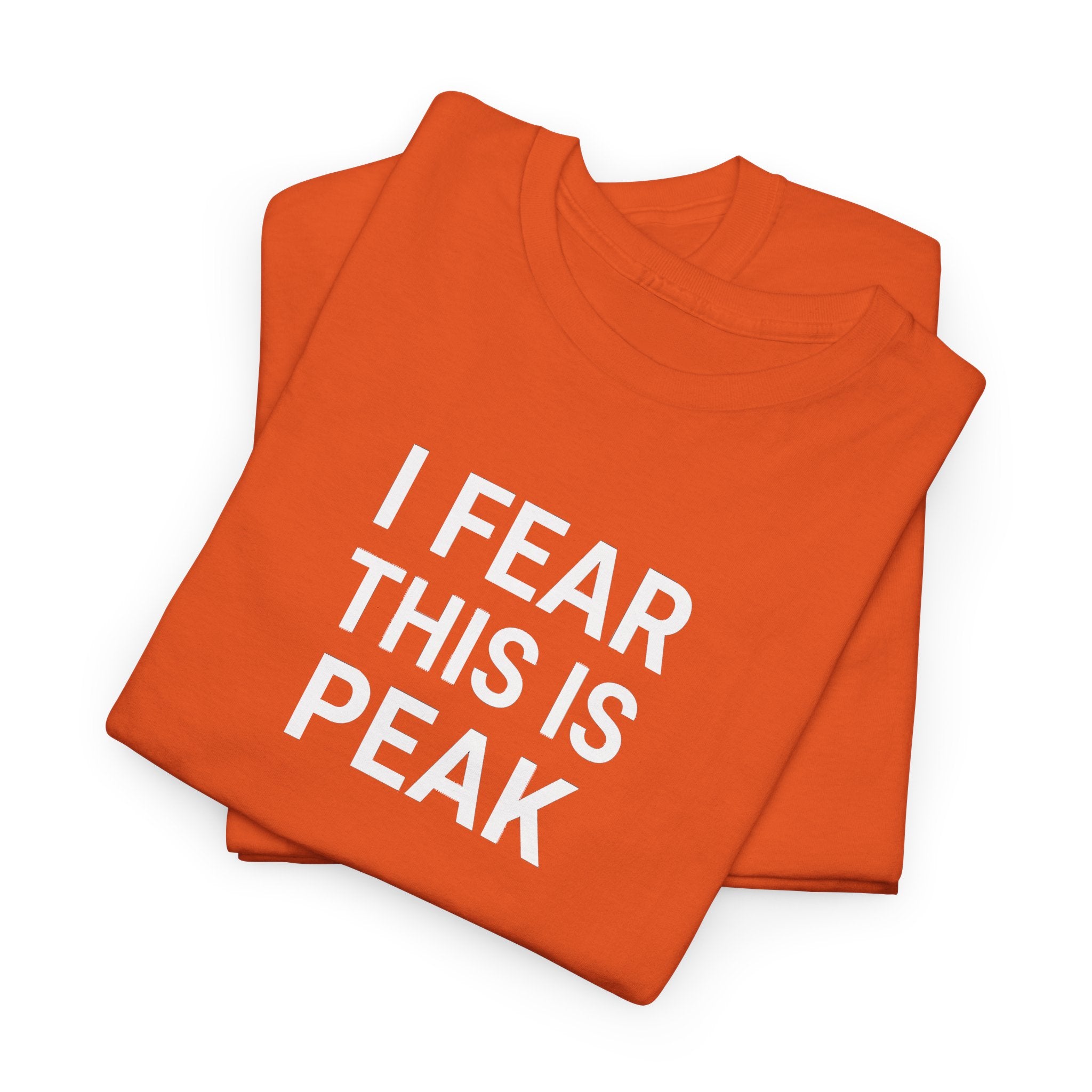I Fear This Is Peak Tee — Funny Minimalist Graphic T-Shirt