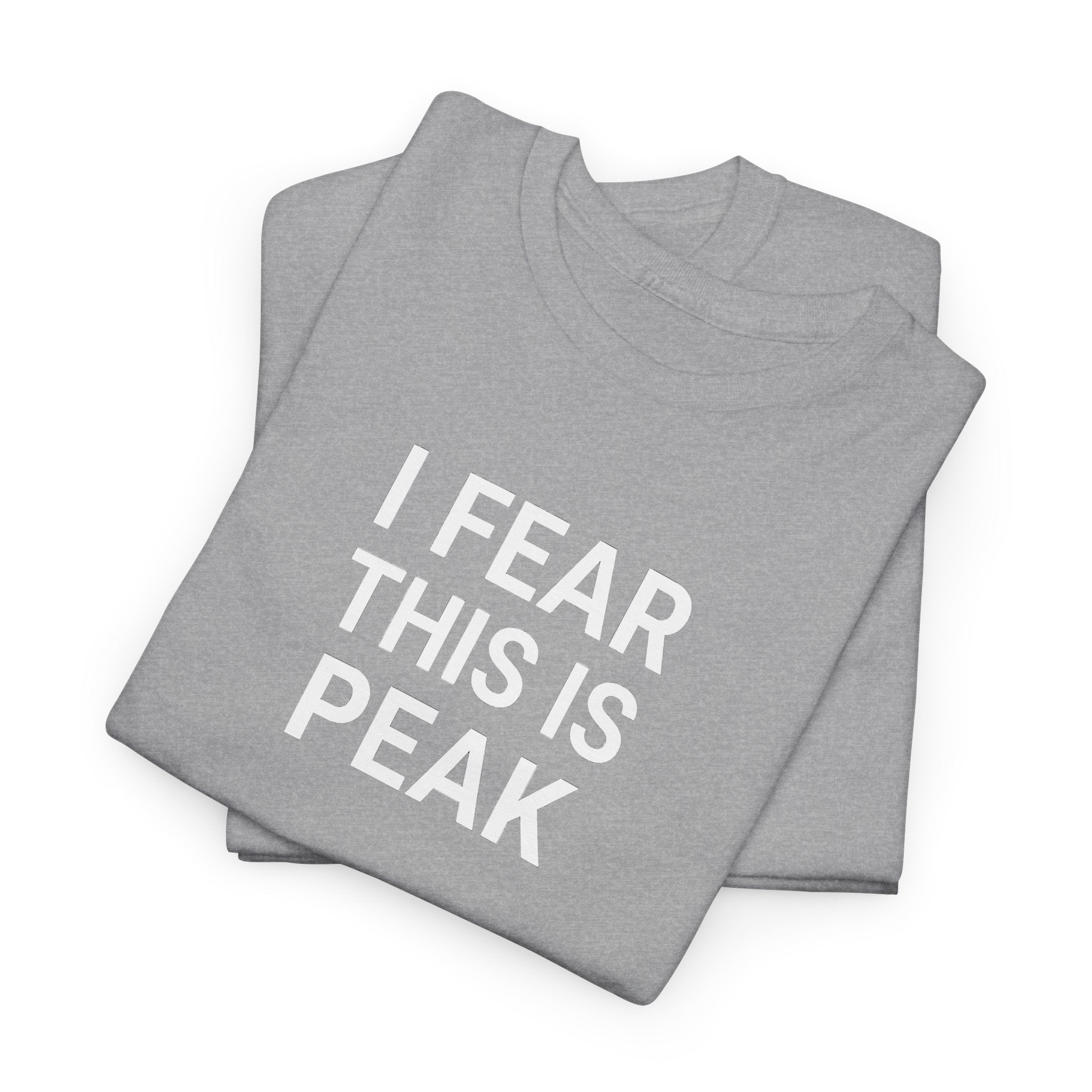 I Fear This Is Peak Tee — Funny Minimalist Graphic T-Shirt