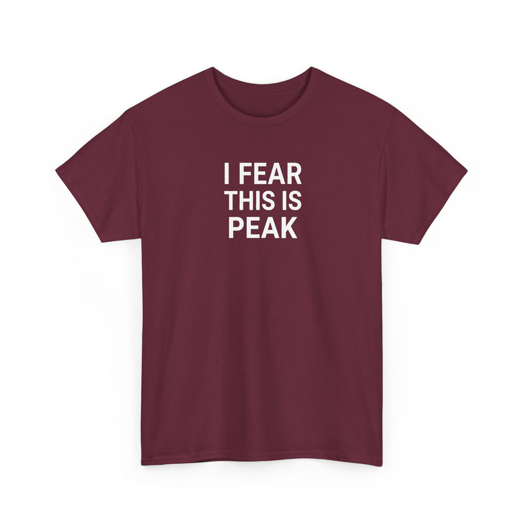 I Fear This Is Peak Tee — Funny Minimalist Graphic T-Shirt