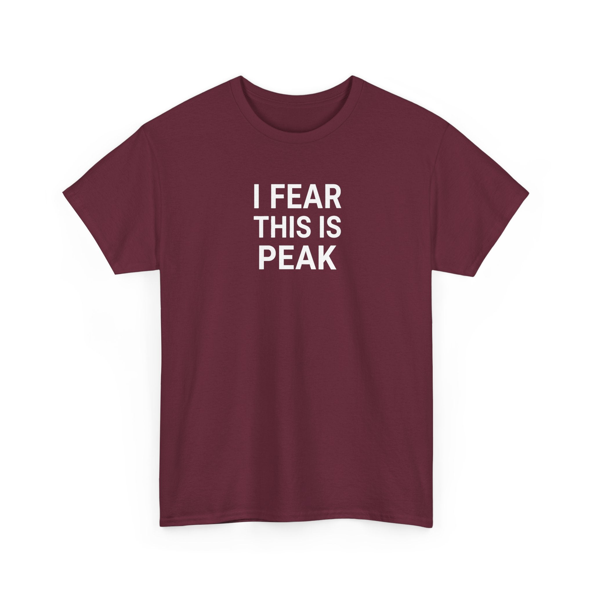 I Fear This Is Peak Tee — Funny Minimalist Graphic T-Shirt