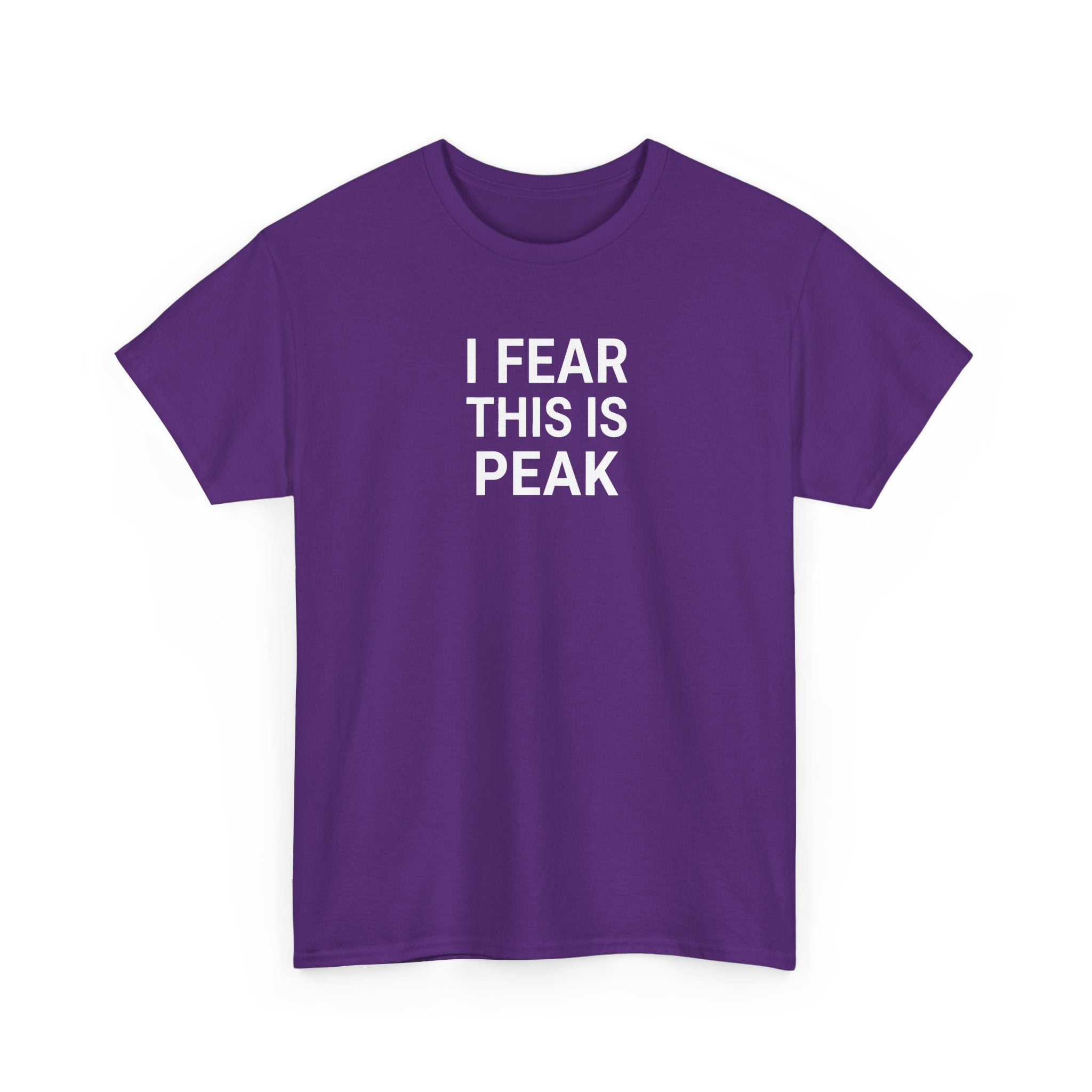I Fear This Is Peak Tee — Funny Minimalist Graphic T-Shirt