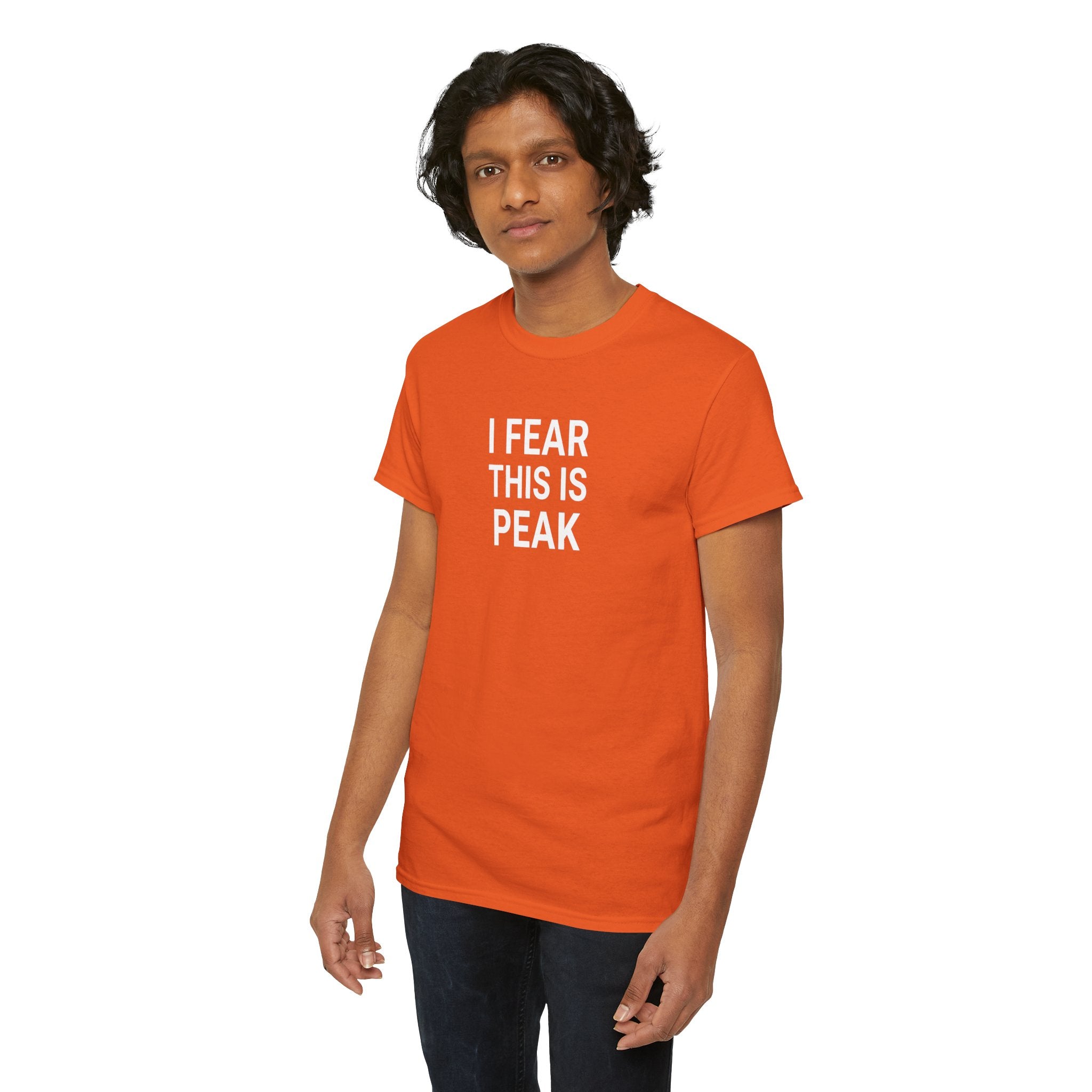 I Fear This Is Peak Tee — Funny Minimalist Graphic T-Shirt