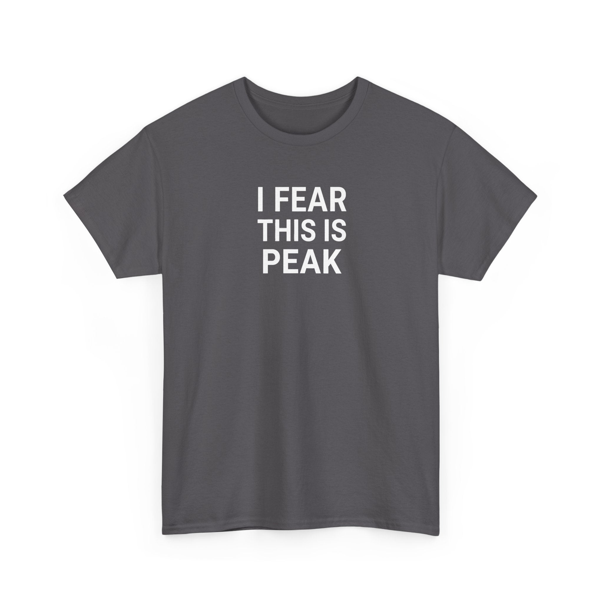 I Fear This Is Peak Tee — Funny Minimalist Graphic T-Shirt