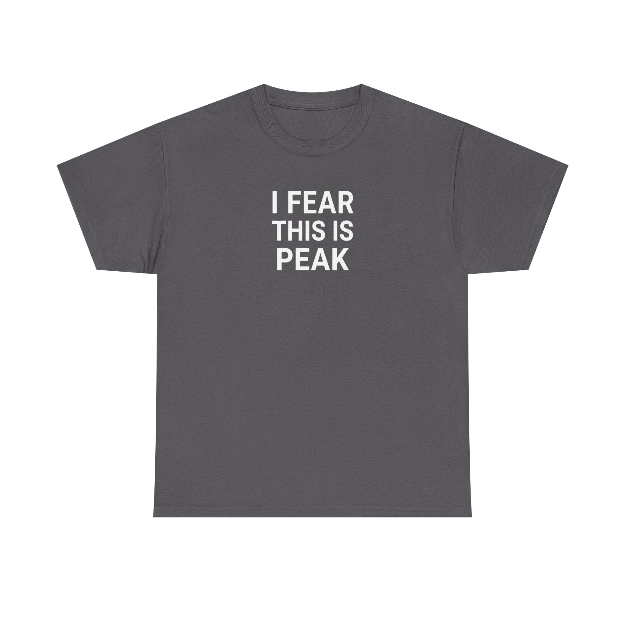 I Fear This Is Peak Tee — Funny Minimalist Graphic T-Shirt