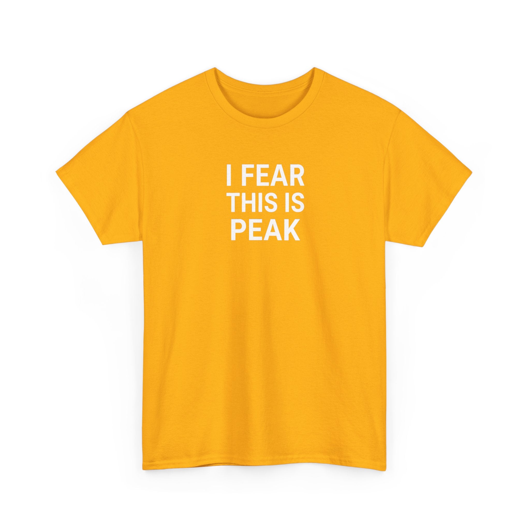 I Fear This Is Peak Tee — Funny Minimalist Graphic T-Shirt