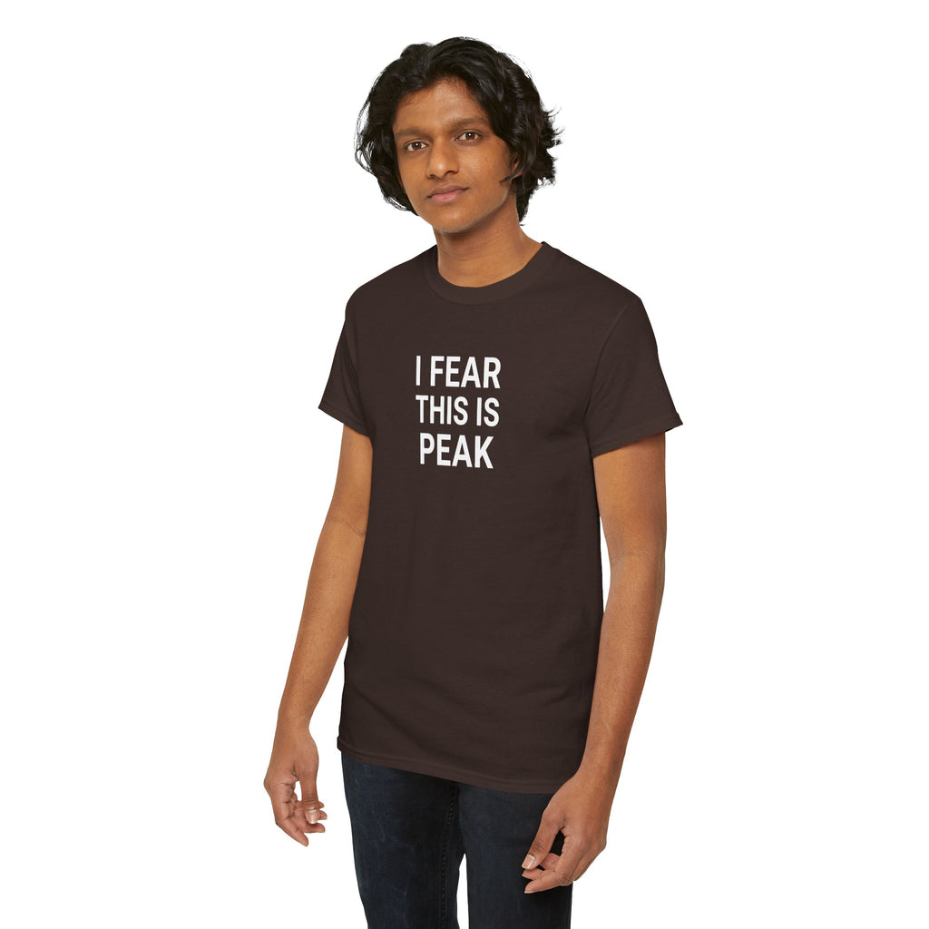 I Fear This Is Peak Tee — Funny Minimalist Graphic T-Shirt