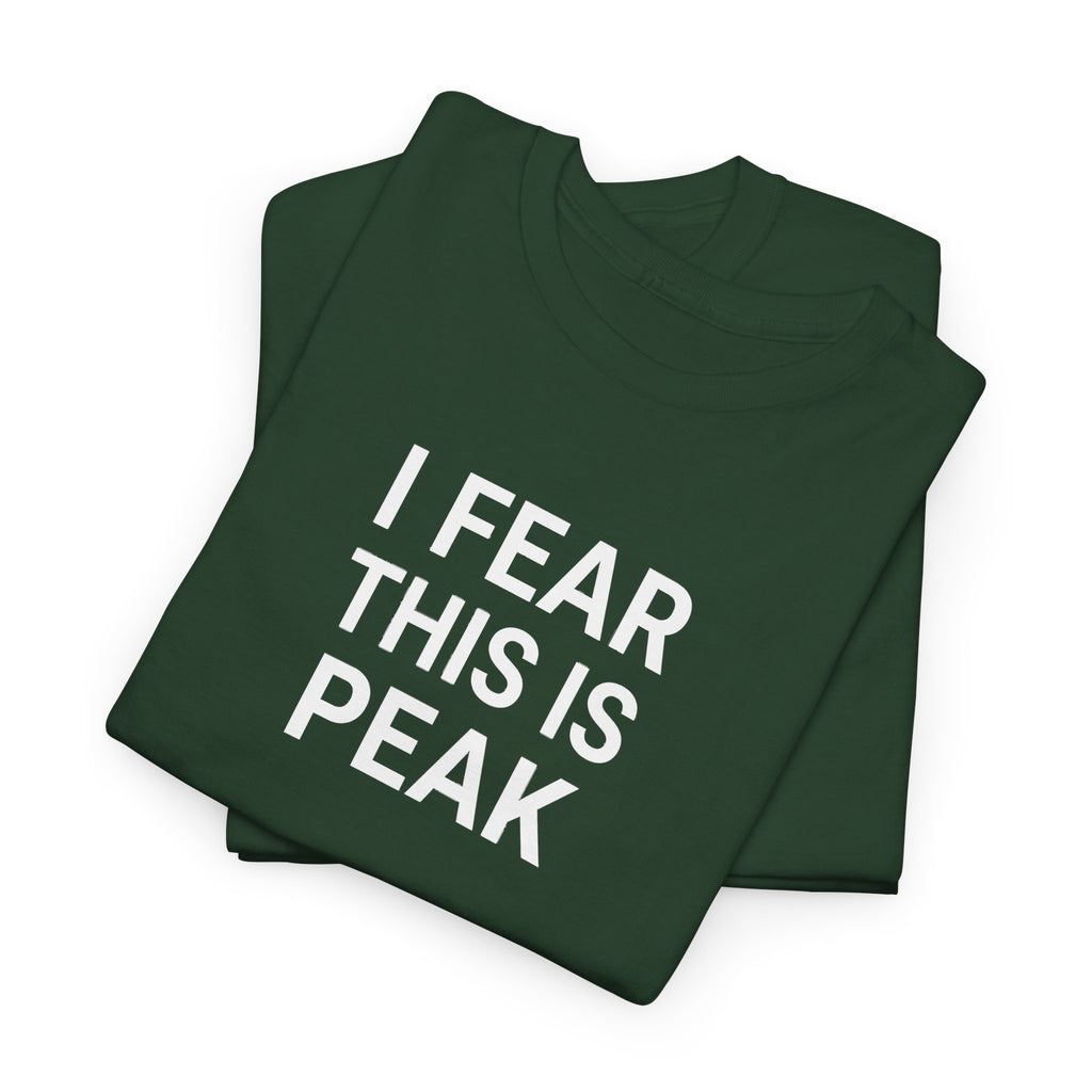 I Fear This Is Peak Tee — Funny Minimalist Graphic T-Shirt