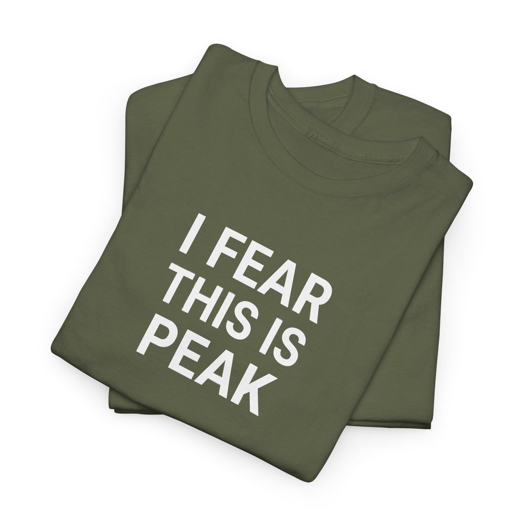 I Fear This Is Peak Tee — Funny Minimalist Graphic T-Shirt
