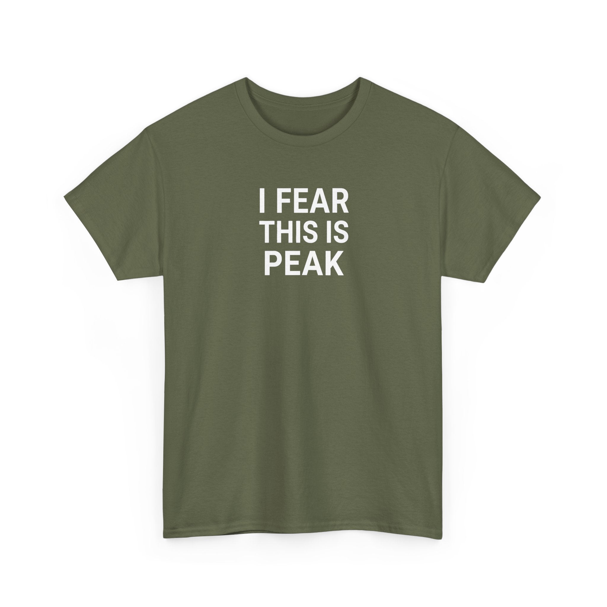 I Fear This Is Peak Tee — Funny Minimalist Graphic T-Shirt