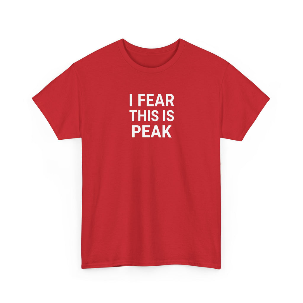 I Fear This Is Peak Tee — Funny Minimalist Graphic T-Shirt