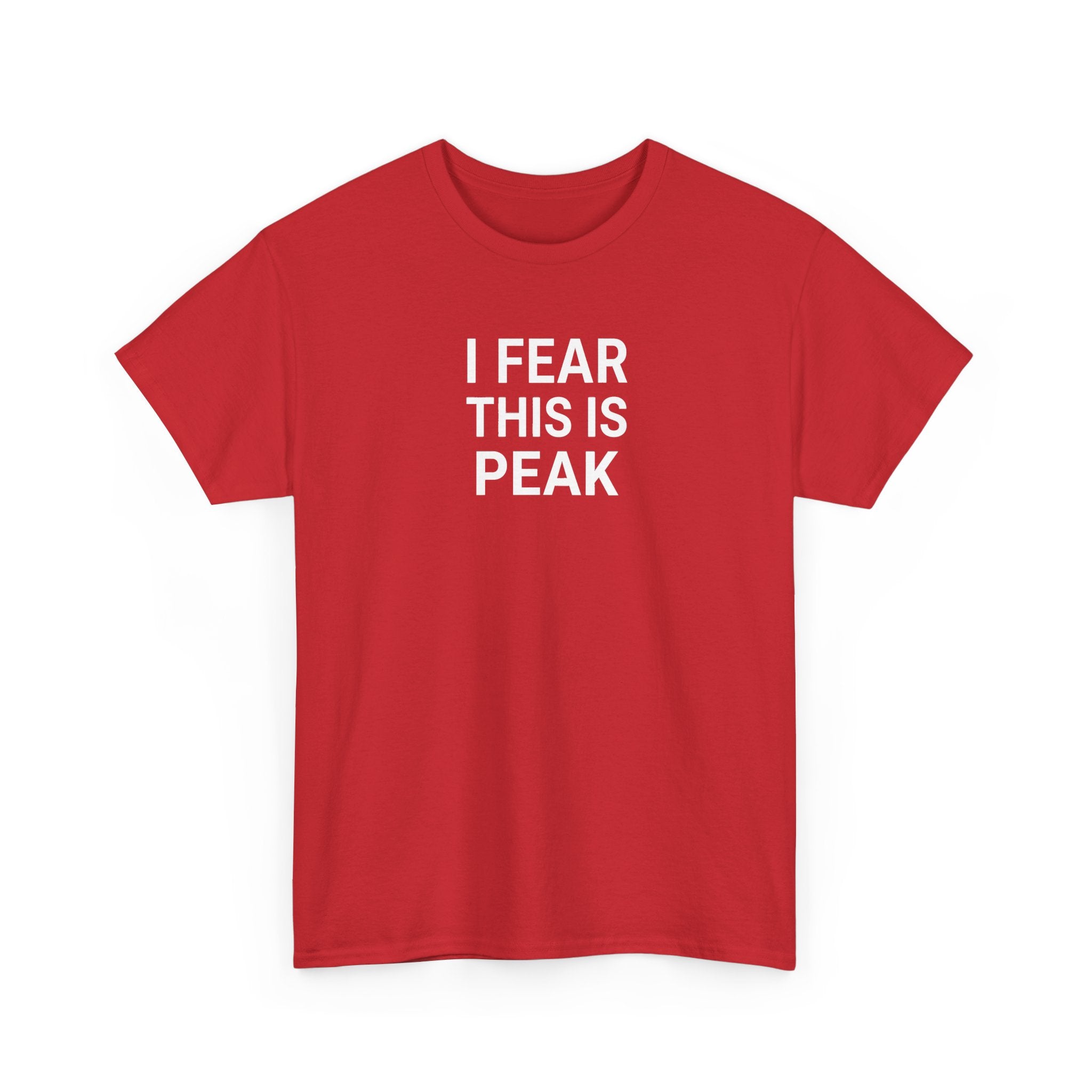 I Fear This Is Peak Tee — Funny Minimalist Graphic T-Shirt
