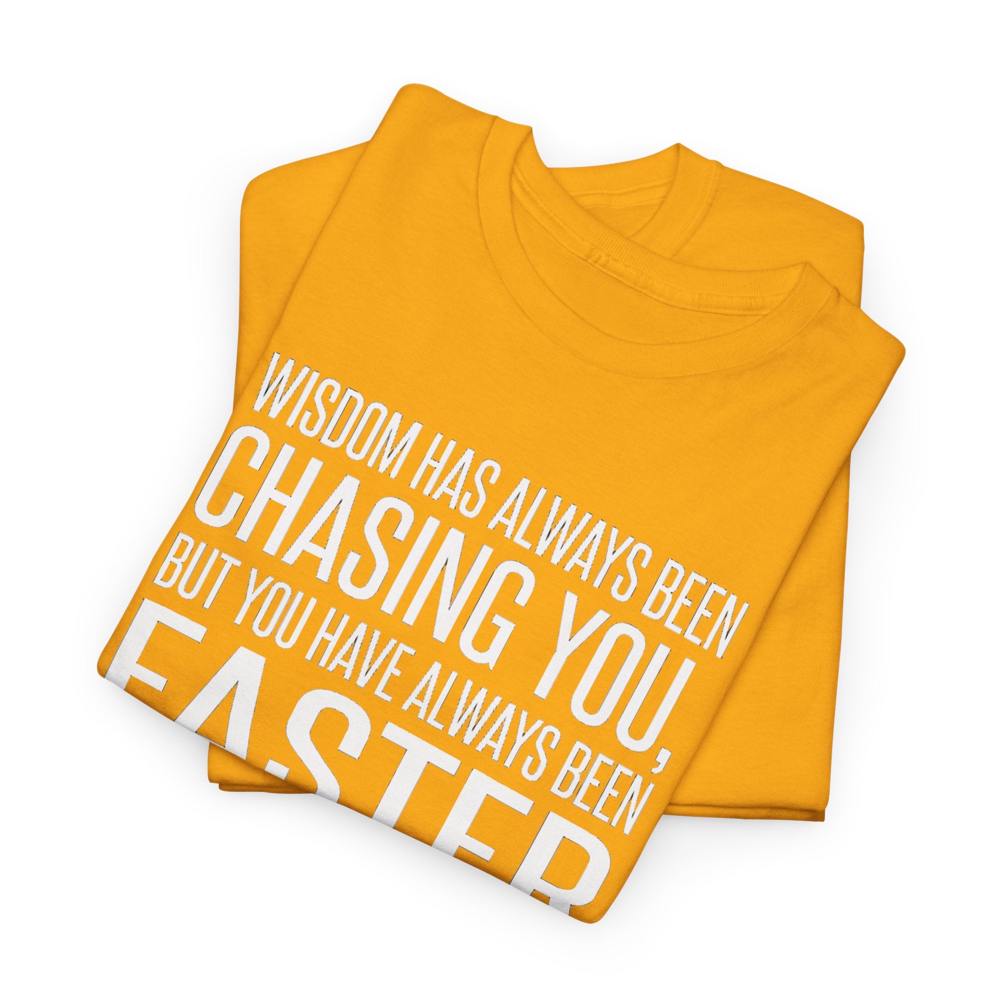 Funny Quote T-Shirt — "Wisdom Has Always Been Chasing You, But You Have Always Been Faster"