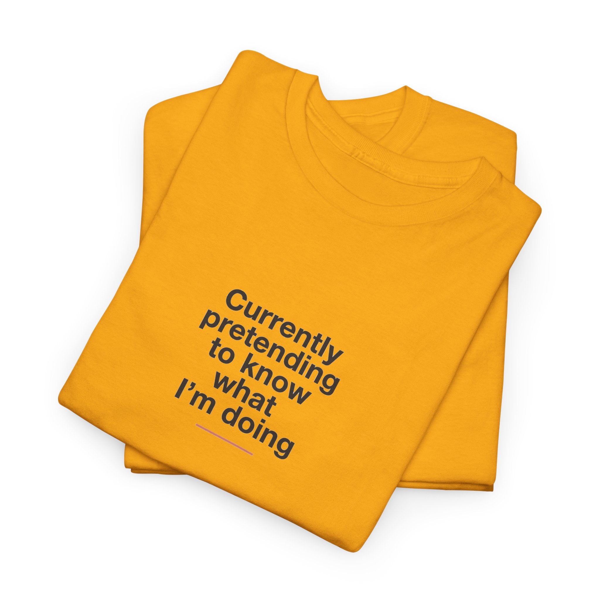 T-Shirt — 'Currently Pretending to Know What I’m Doing' Minimal Graphic Tee