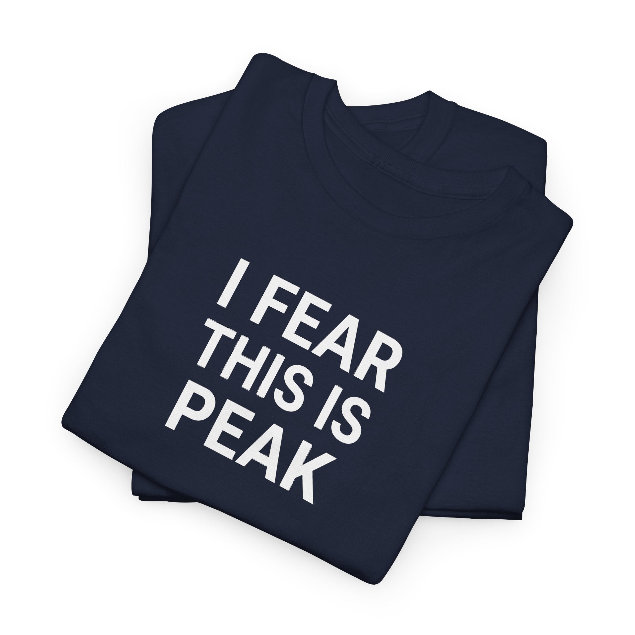 I Fear This Is Peak Tee — Funny Minimalist Graphic T-Shirt