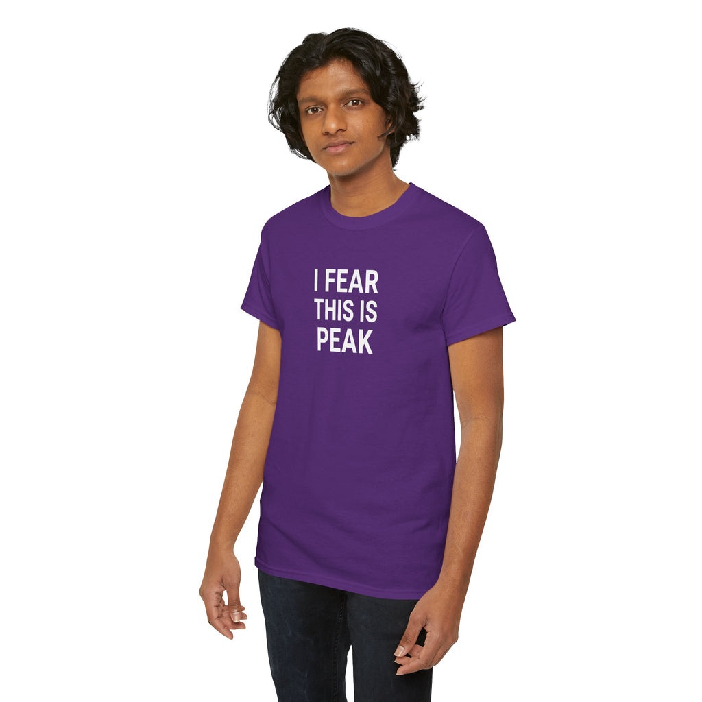 I Fear This Is Peak Tee — Funny Minimalist Graphic T-Shirt