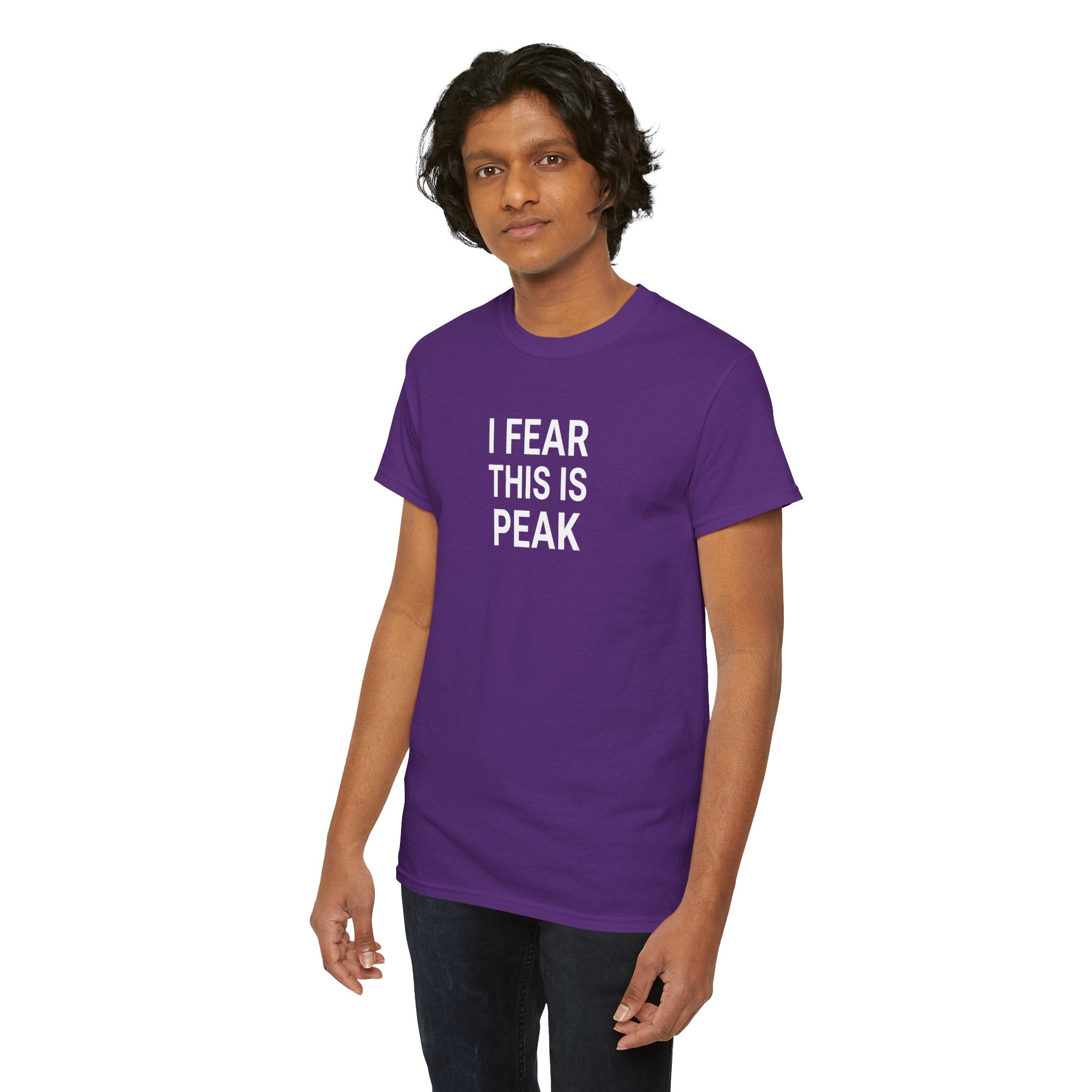 I Fear This Is Peak Tee — Funny Minimalist Graphic T-Shirt
