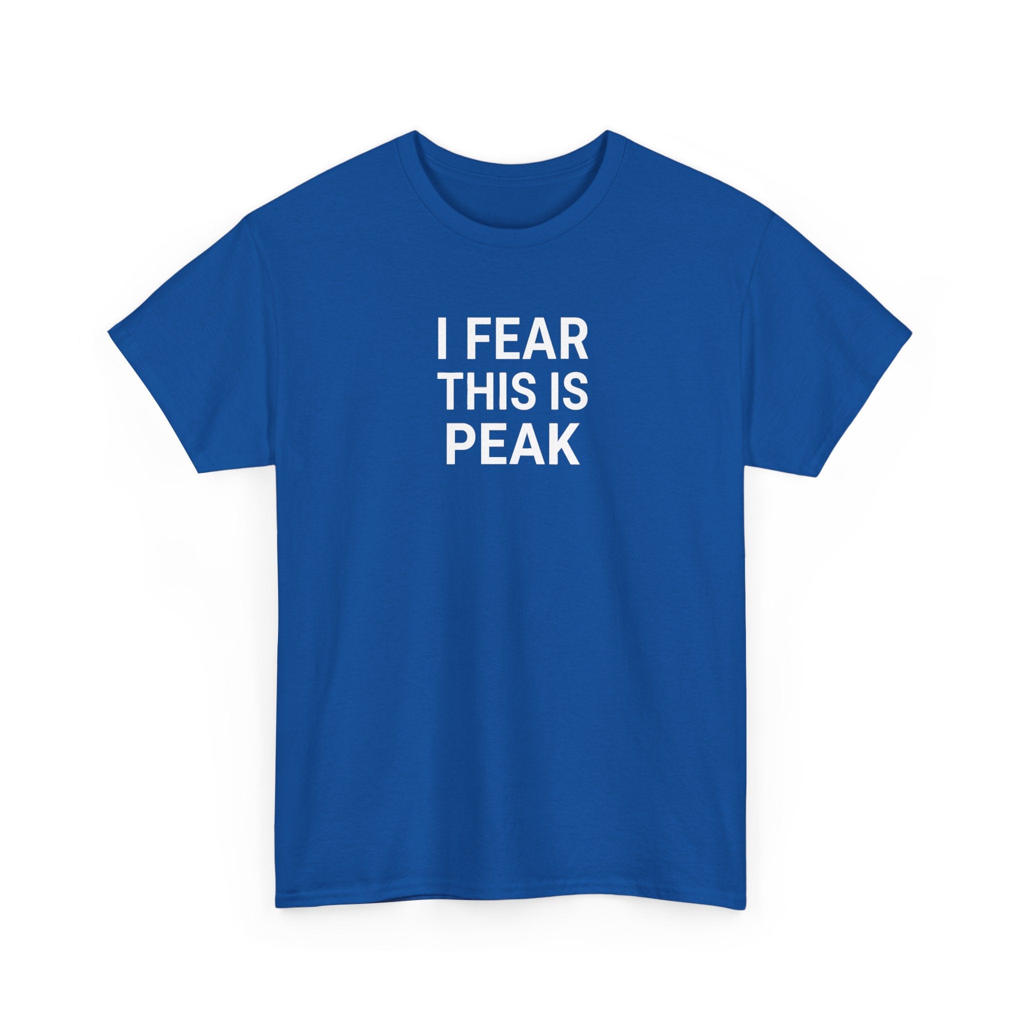 I Fear This Is Peak Tee — Funny Minimalist Graphic T-Shirt