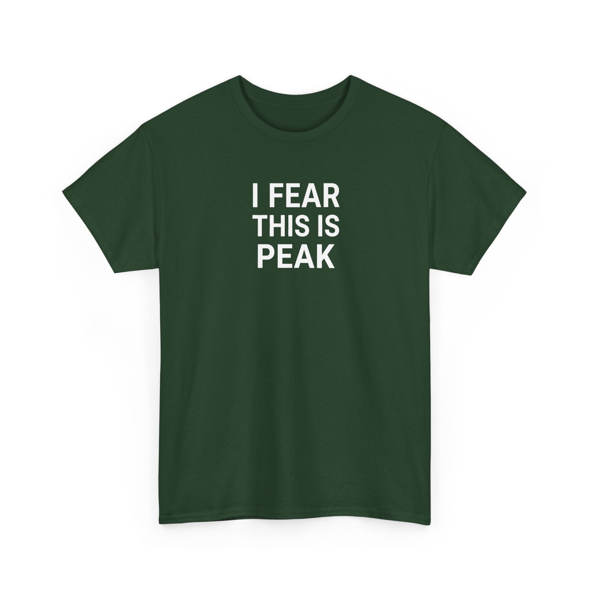 I Fear This Is Peak Tee — Funny Minimalist Graphic T-Shirt