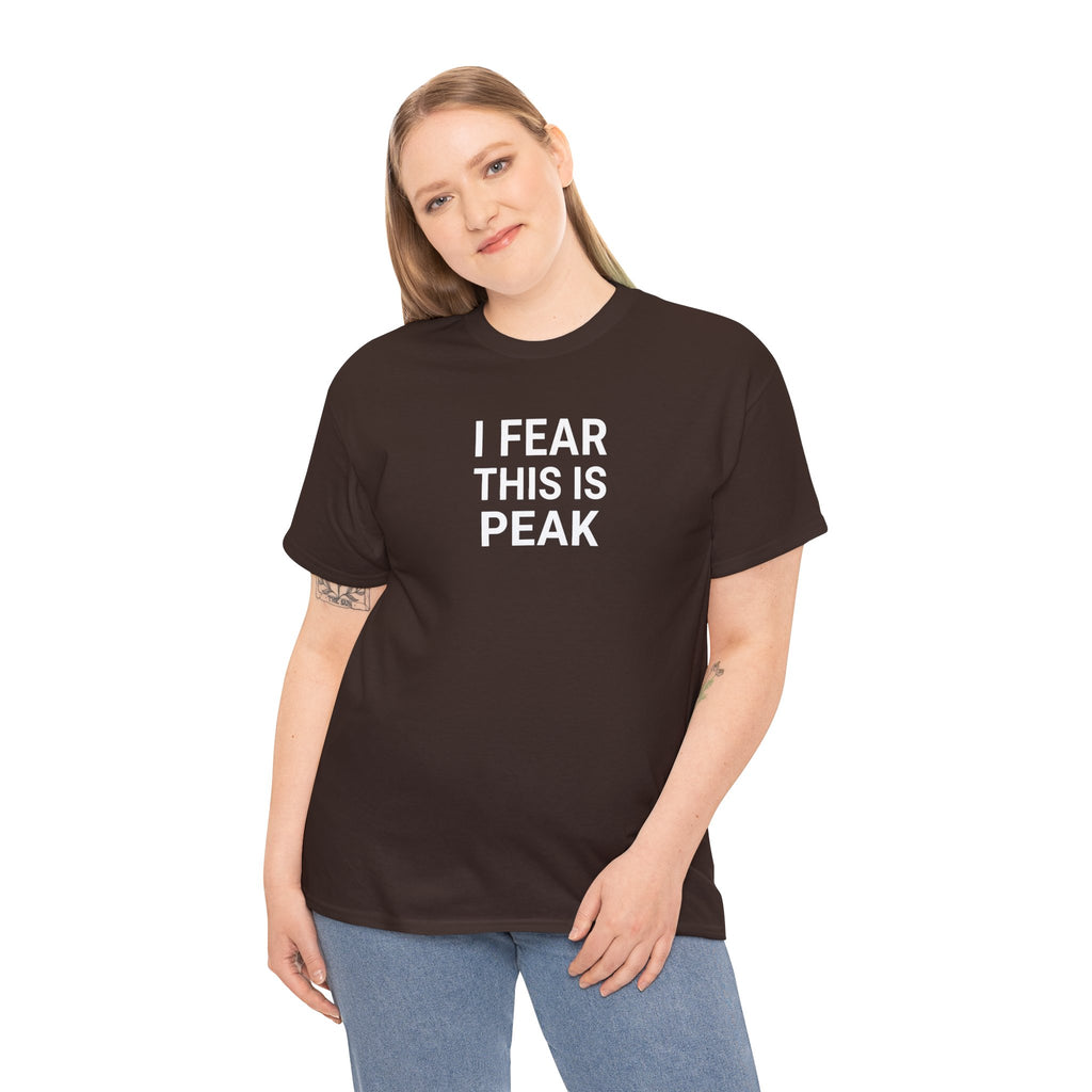 I Fear This Is Peak Tee — Funny Minimalist Graphic T-Shirt