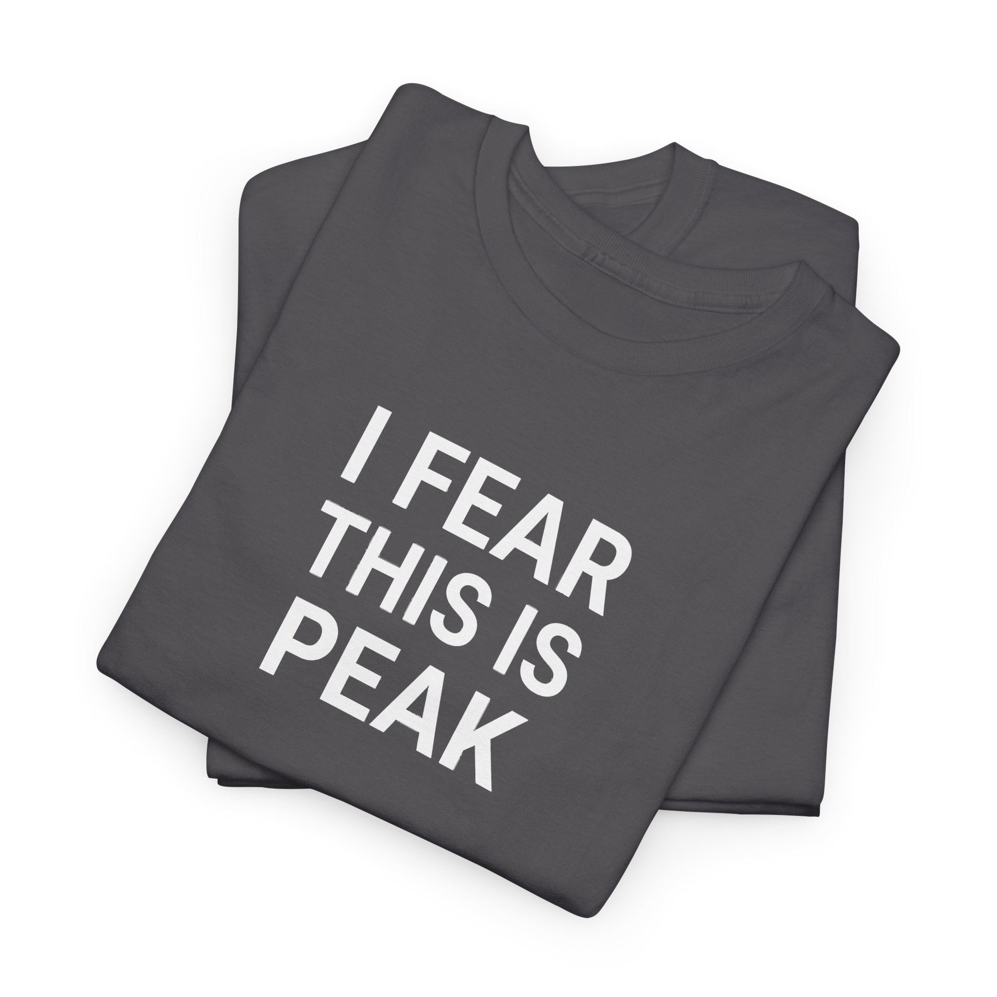 I Fear This Is Peak Tee — Funny Minimalist Graphic T-Shirt