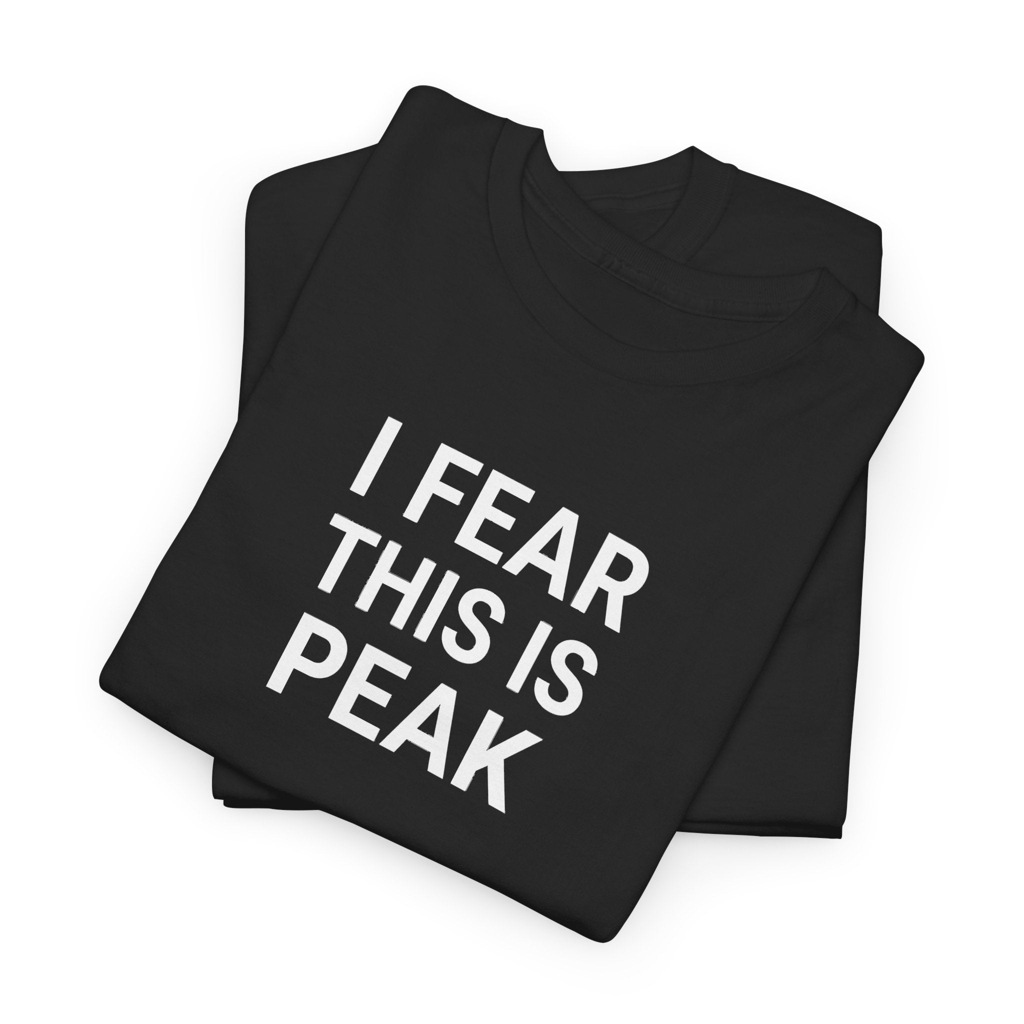 I Fear This Is Peak Tee — Funny Minimalist Graphic T-Shirt