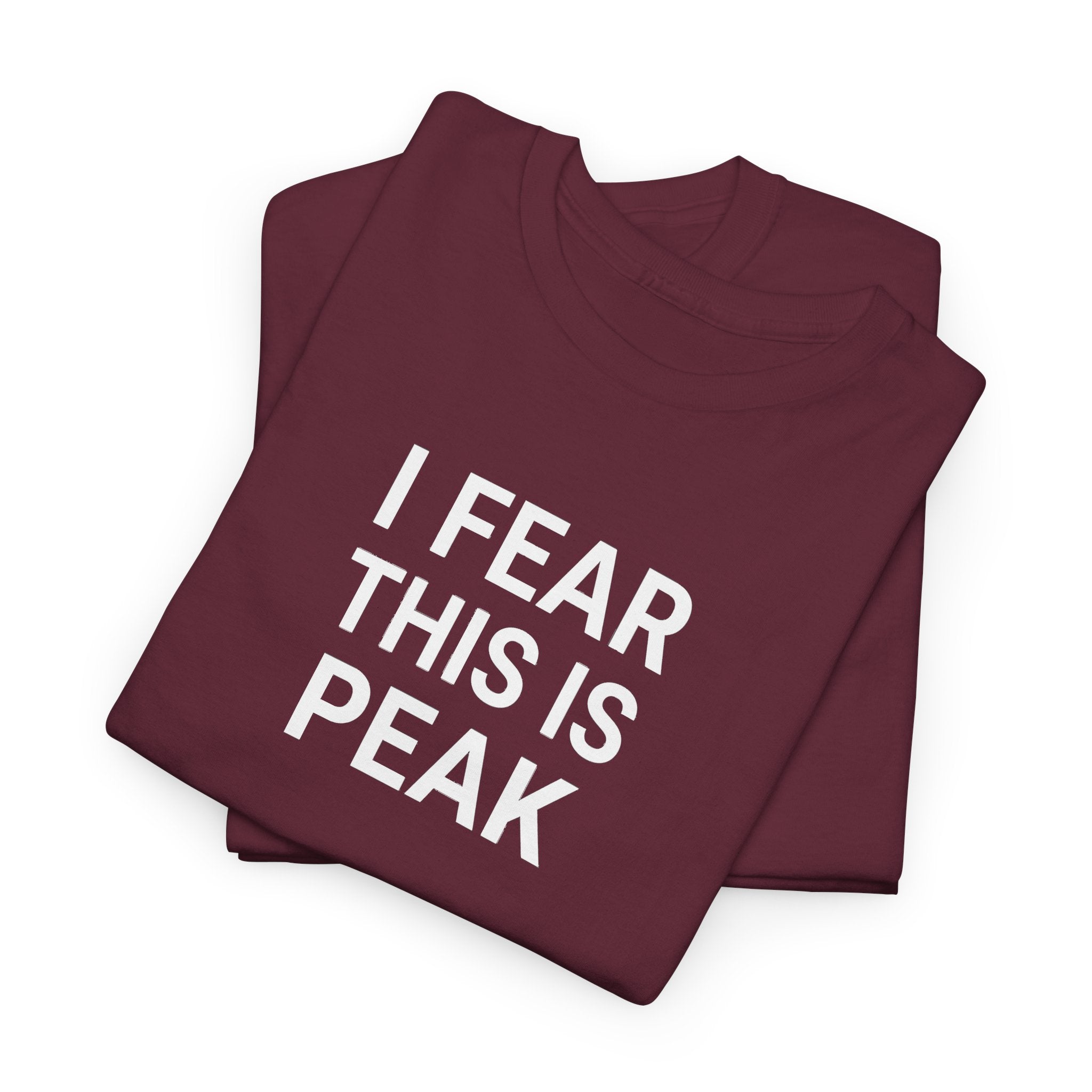 I Fear This Is Peak Tee — Funny Minimalist Graphic T-Shirt