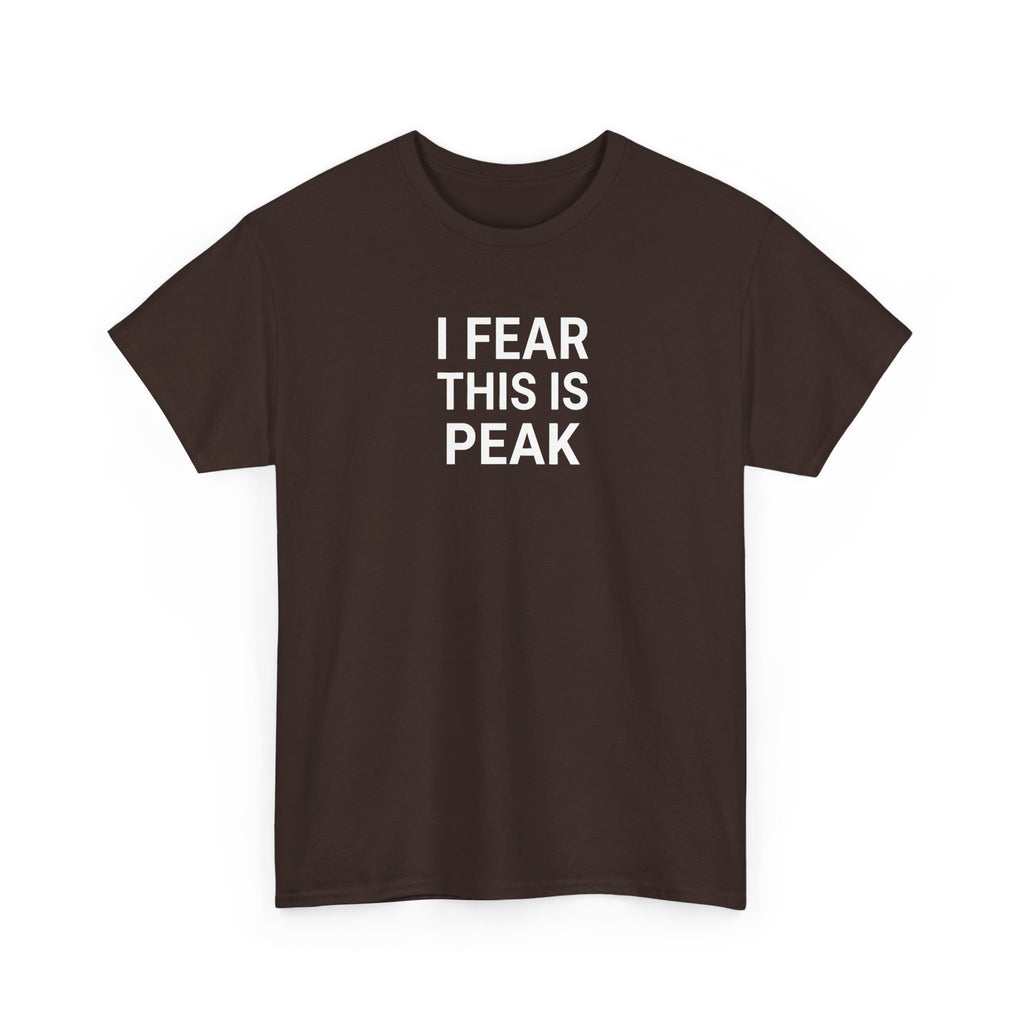 I Fear This Is Peak Tee — Funny Minimalist Graphic T-Shirt