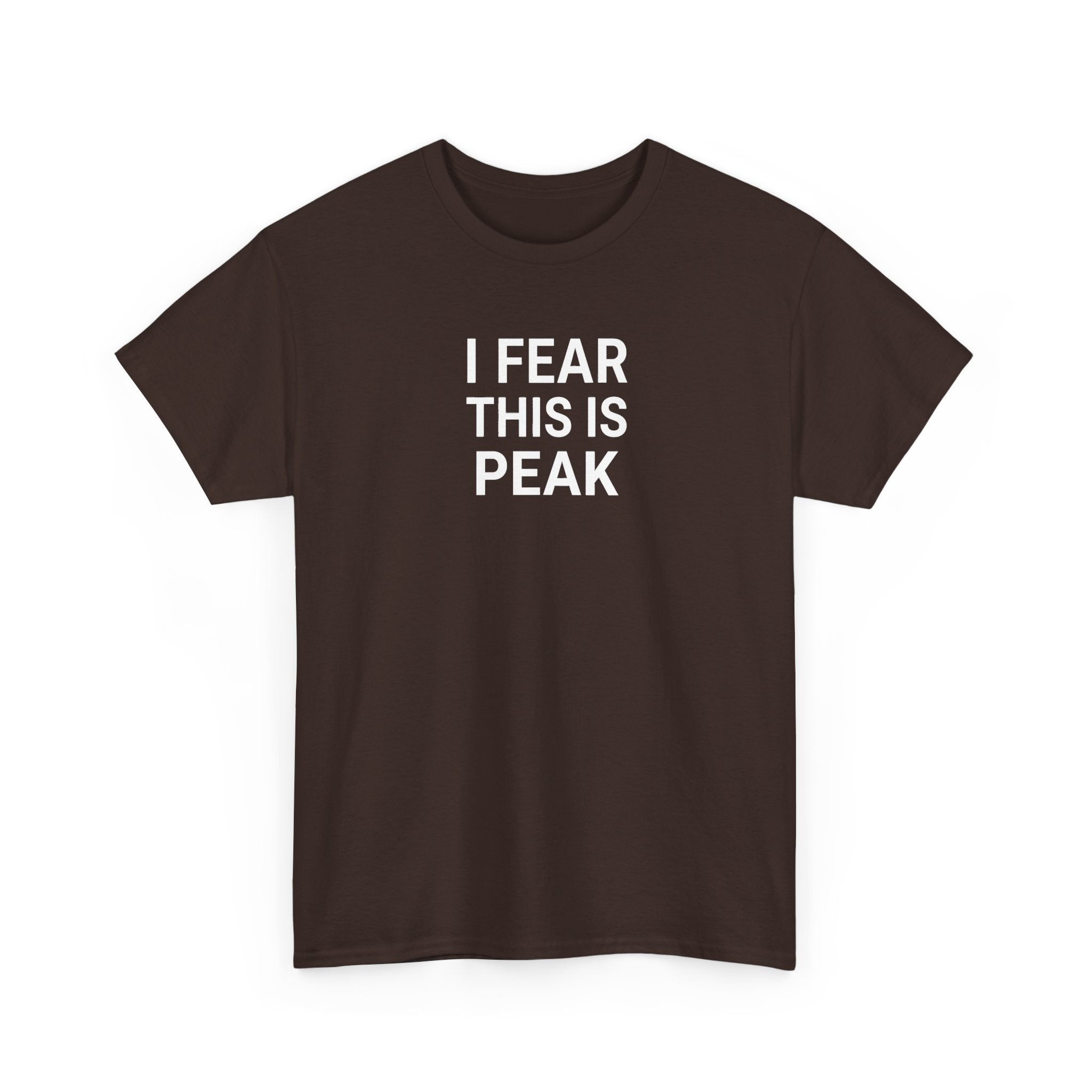 I Fear This Is Peak Tee — Funny Minimalist Graphic T-Shirt