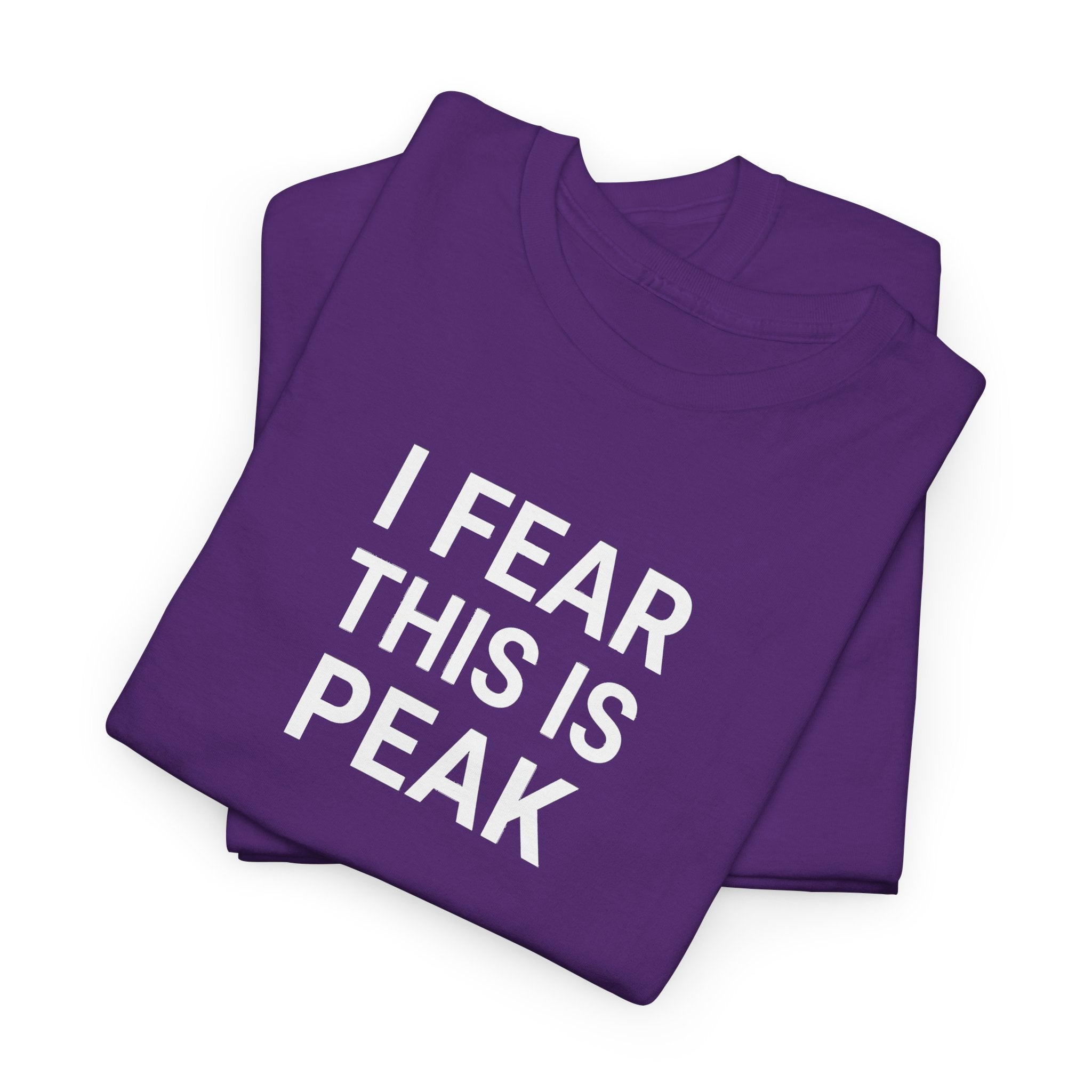 I Fear This Is Peak Tee — Funny Minimalist Graphic T-Shirt