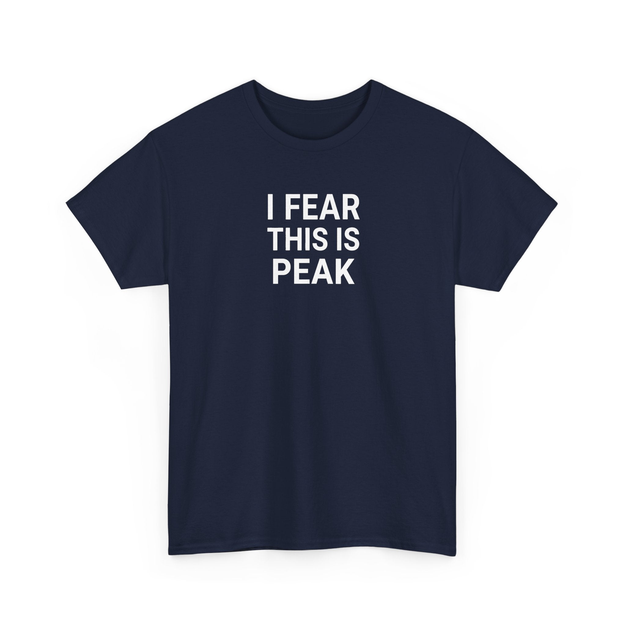 I Fear This Is Peak Tee — Funny Minimalist Graphic T-Shirt